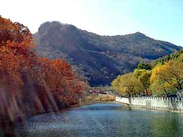 管家婆黑白马报图库，菊花种苗